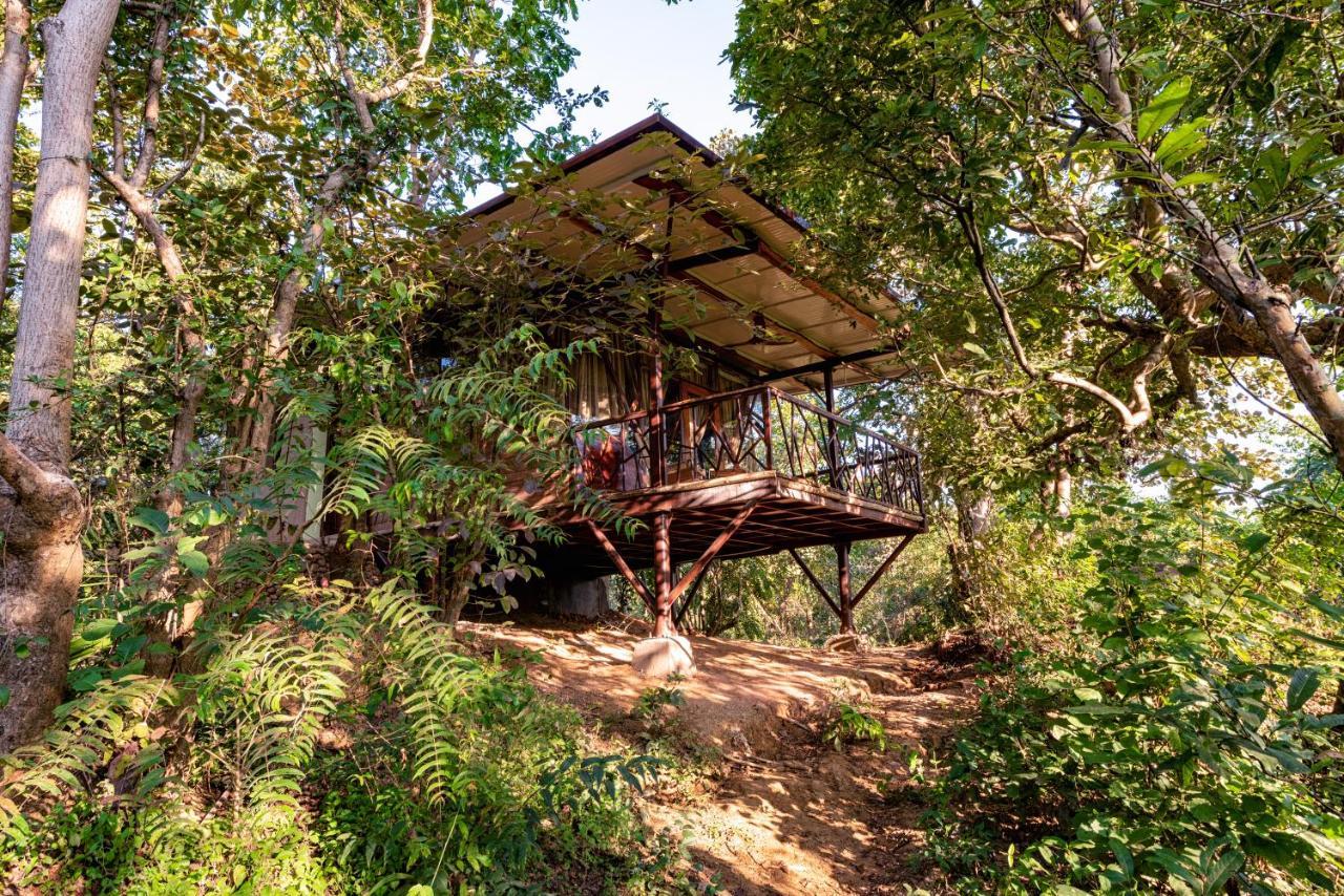 Kanha Jungle Camp Esterno foto