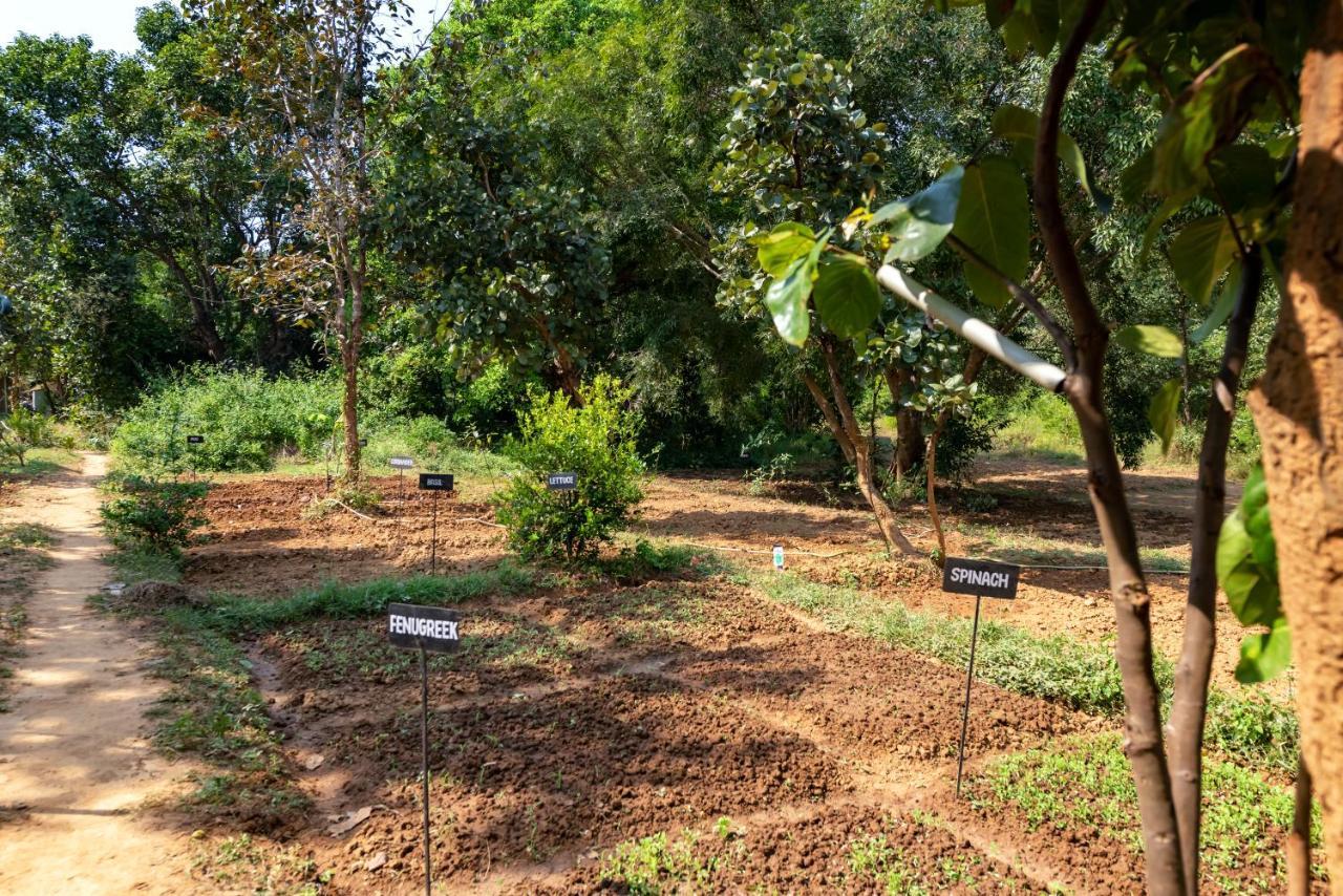Kanha Jungle Camp Esterno foto