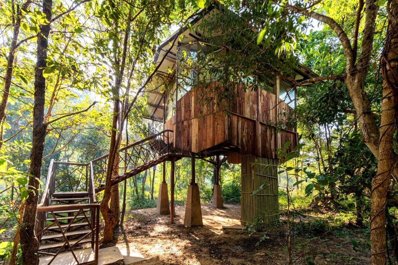 Kanha Jungle Camp Esterno foto