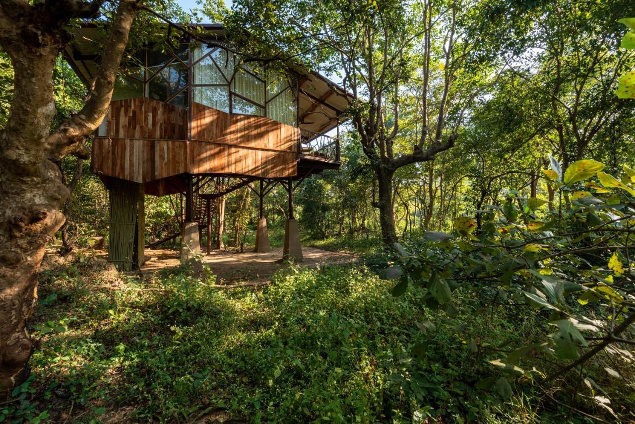 Kanha Jungle Camp Esterno foto