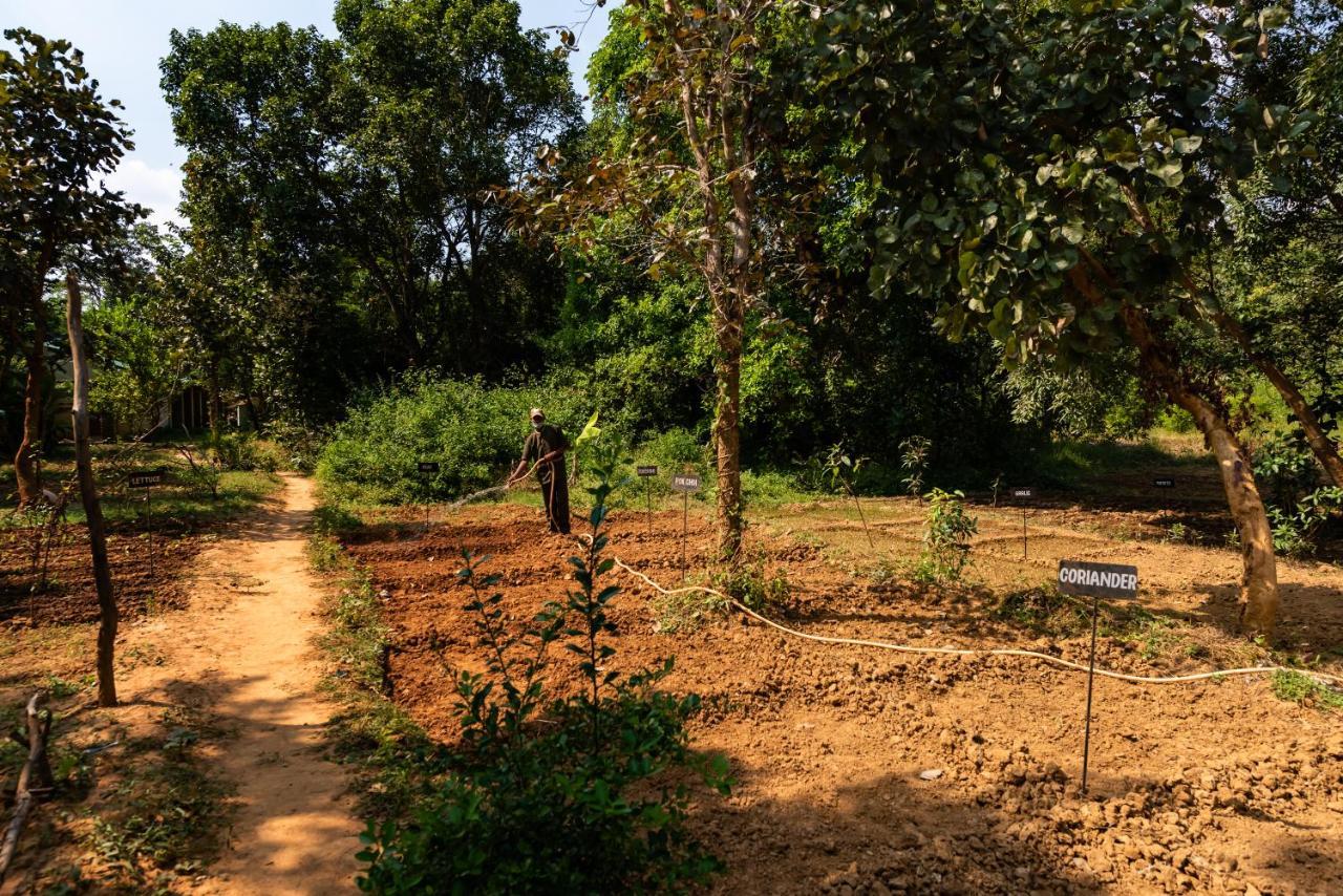 Kanha Jungle Camp Esterno foto